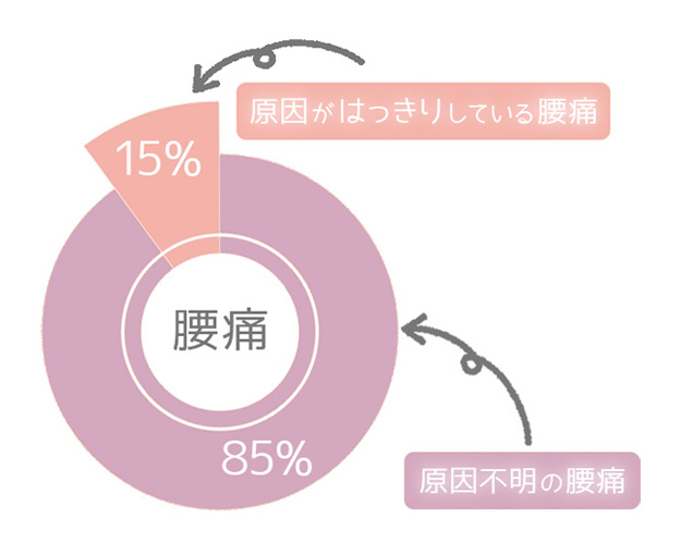 腰痛の85％は原因不明が分かる円グラフ